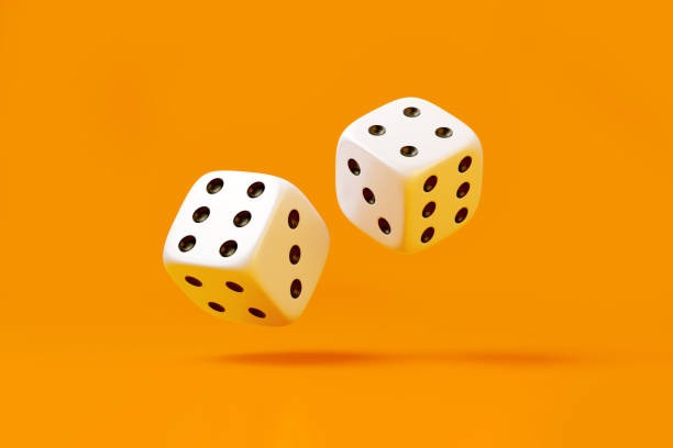 acuan 288 What Makes Bingo Stand Out Here